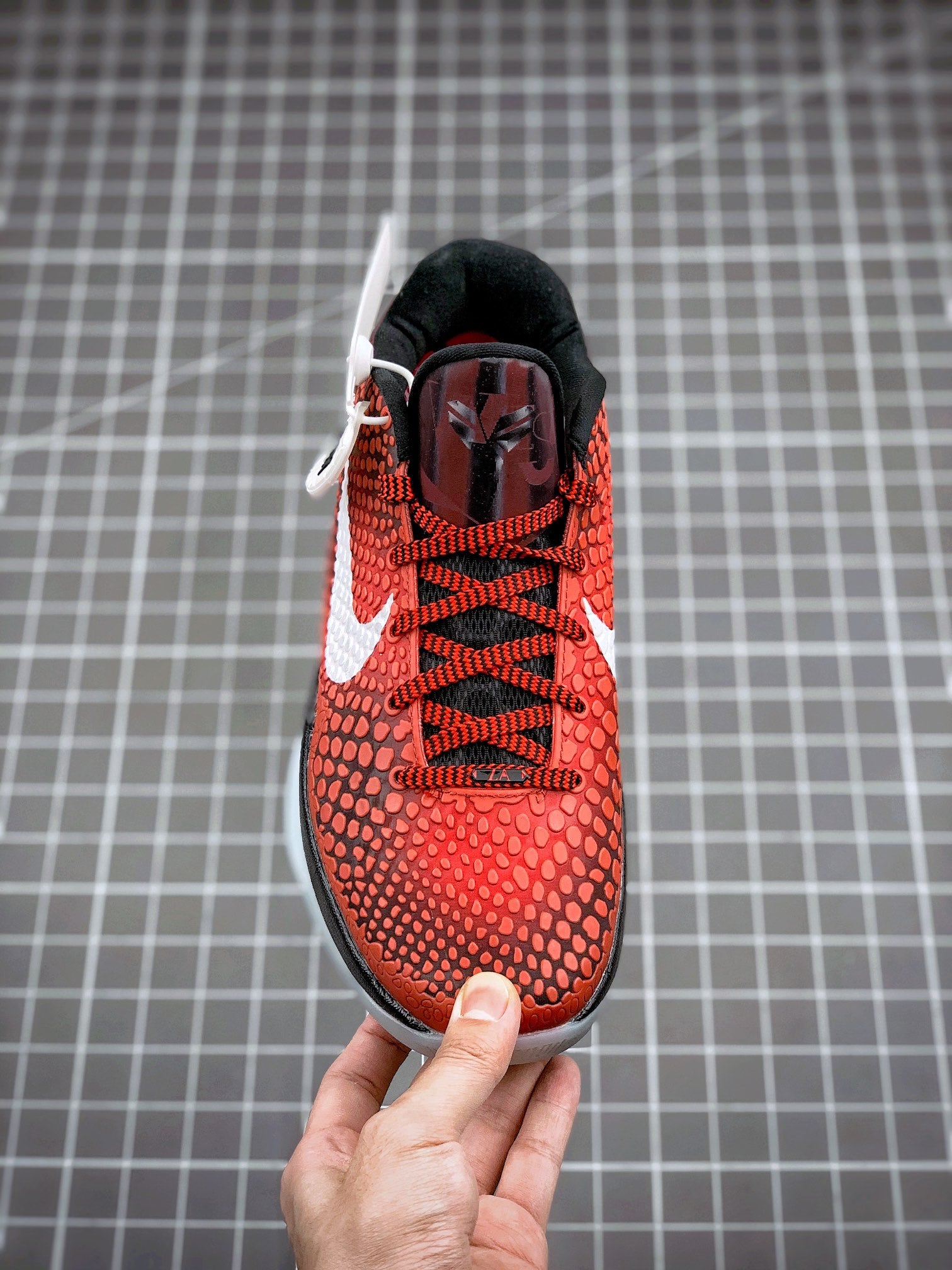 MAX Batch-NK Zoom KOBE 6 Protro