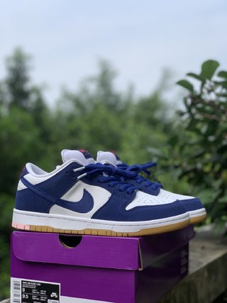 S2 Batch-Concepts x Nk Dunk SB Low