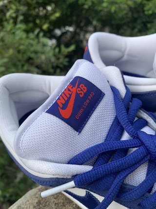 S2 Batch-Concepts x Nk Dunk SB Low