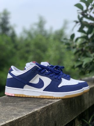 S2 Batch-Concepts x Nk Dunk SB Low