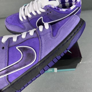 AY Batch-Concepts X NK SB Dunk ''Purple Lobster "