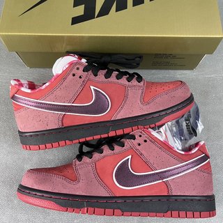 S2 Batch-Concepts x Nk Dunk SB Low Red Lobster