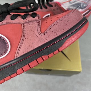 S2 Batch-Concepts x Nk Dunk SB Low Red Lobster