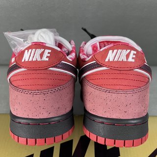 S2 Batch-Concepts x Nk Dunk SB Low Red Lobster