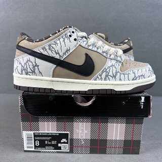 AY Batch-TS x Nike dunk sb