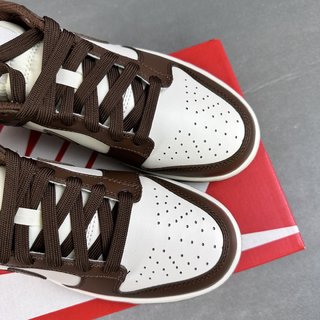 G Batch-Nike Dunk Low "Surfaces In Brown And Sail"