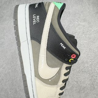 G Batch-NK SB Dunk Low “VX1000 Camcorder”