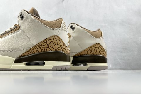 PB Batch-Jordan Air Jordan 3 "Orewood Brown"