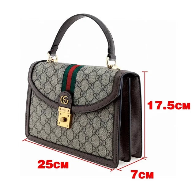 Gucci bags N488430