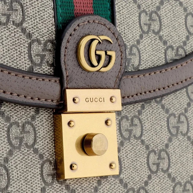 Gucci bags N488430