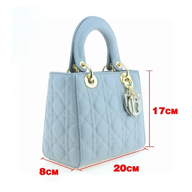 Dior bags N518450
