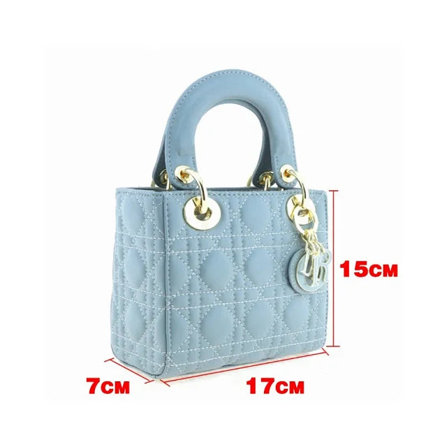 Dior bags N498430