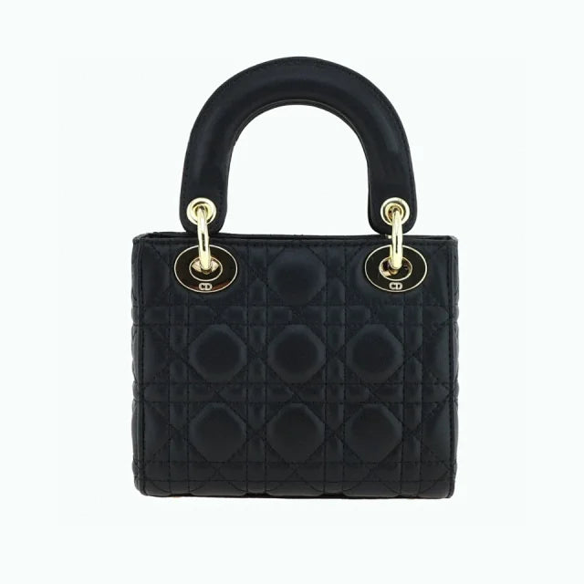 Dior bags N498430