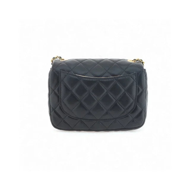 Chanel bags N428370