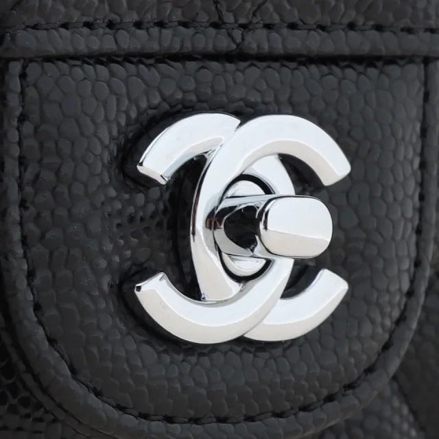 Chanel bags N498440