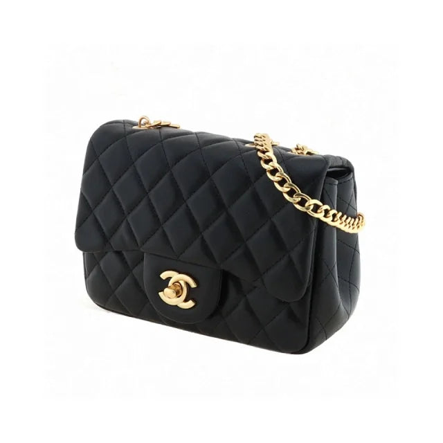 Chanel bags N428370